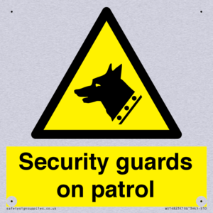 Security guards on patrol